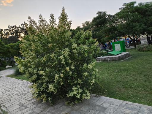 عکس بوستان نسیم