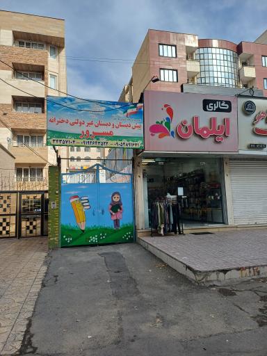 عکس گالری ایلمان