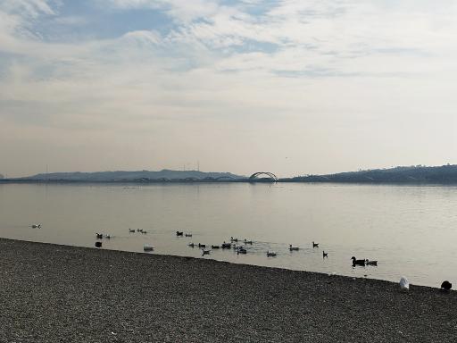 عکس دریاچه چیتگر (شهدای خلیج فارس)