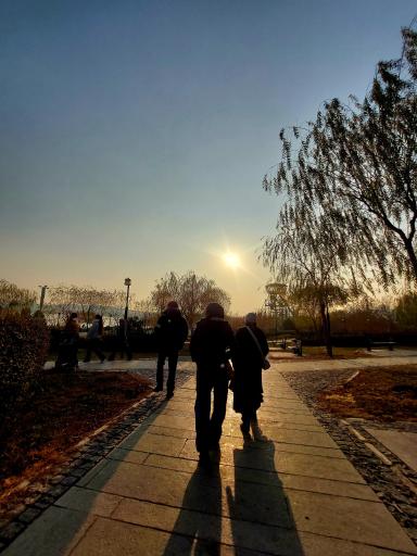 عکس دریاچه چیتگر (شهدای خلیج فارس)