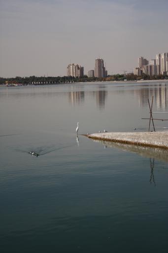 عکس دریاچه چیتگر (شهدای خلیج فارس)