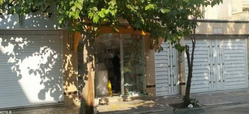 عکس پلاسکو/ پخش نایلکس و محصولات یکبار مصرف فدک (توزیع رایگان)