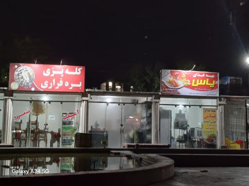 عکس کله پزی بره فراری