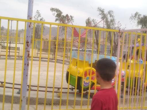 عکس پارک زیتون