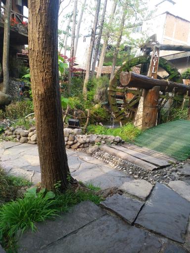 عکس رستوران بین المللی آیلار