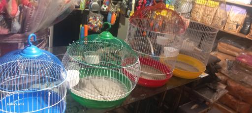 عکس پت شاپ شاهین