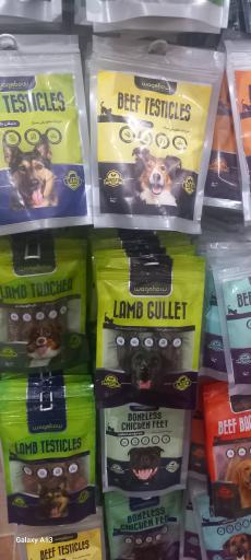 عکس پت شاپ شاهین