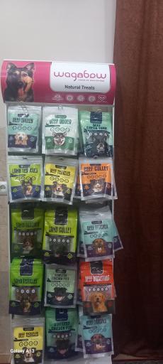 عکس پت شاپ شاهین