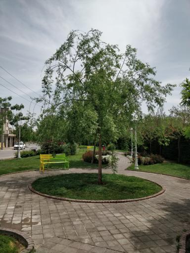 عکس پارک خطی زمرد