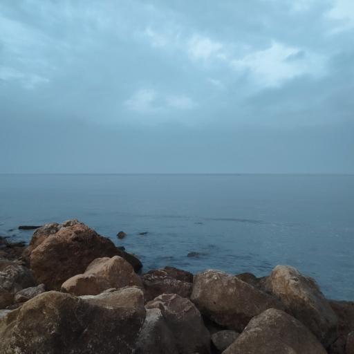 عکس بوستان صدف