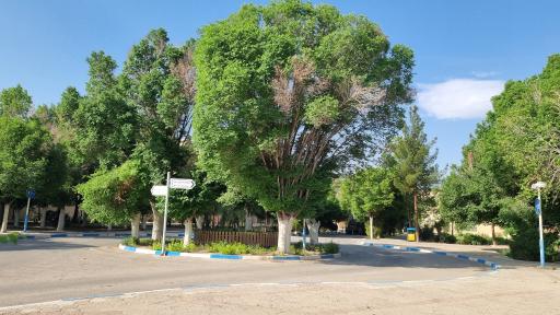 عکس میدان سیادت