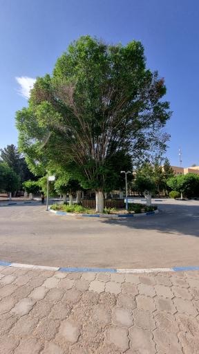 عکس میدان سیادت