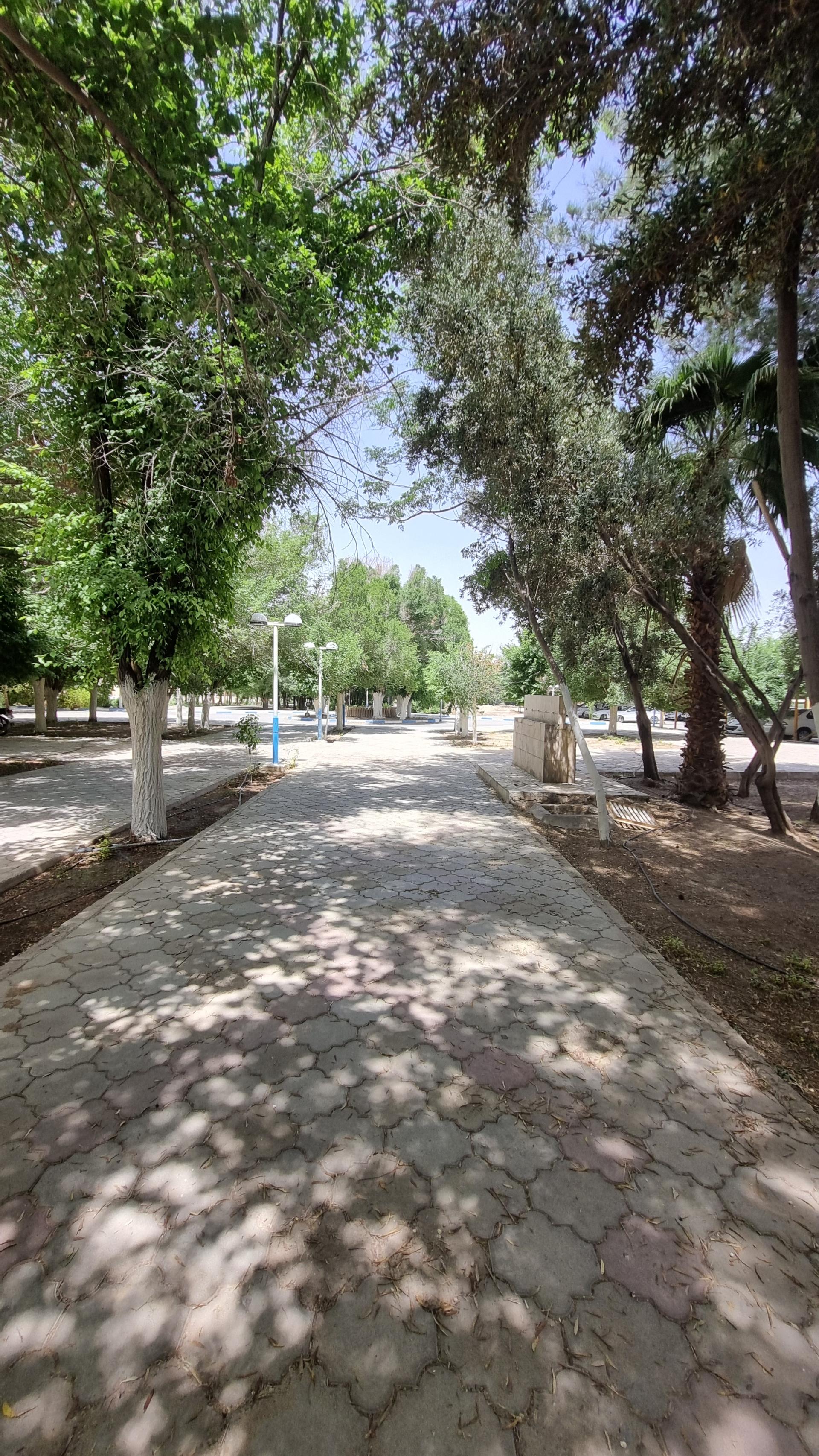 عکس میدان سیادت