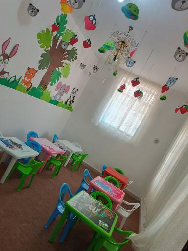 عکس مهدکودک و پیش دبستانی شاهان