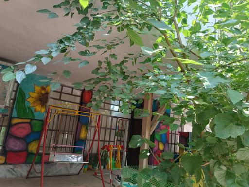 عکس مهدکودک و پیش دبستانی شاهان