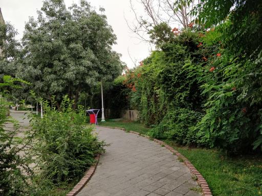 عکس پارک خطی زمرد