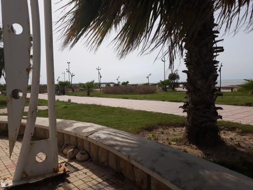 عکس بوستان صدف