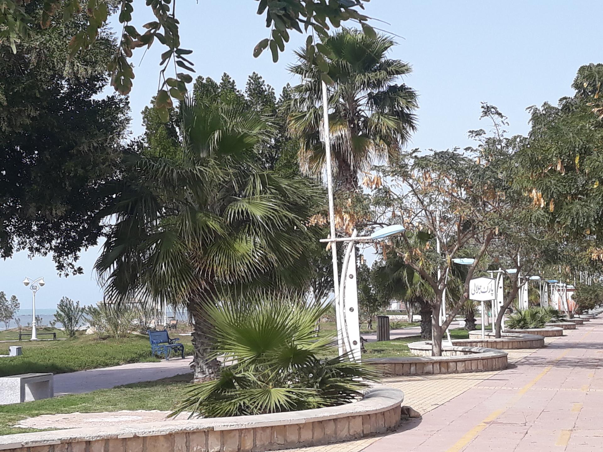 عکس بوستان صدف