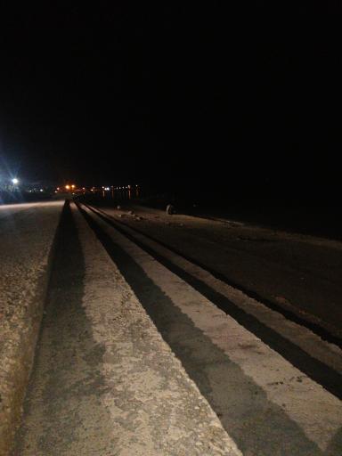 عکس بوستان صدف