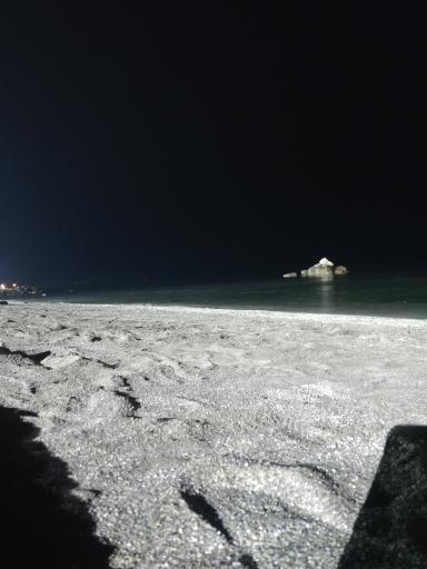 عکس بوستان صدف