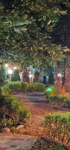 عکس باغ پیتزا آتا