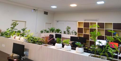 عکس سازه‌های اطلاعاتی راژمان