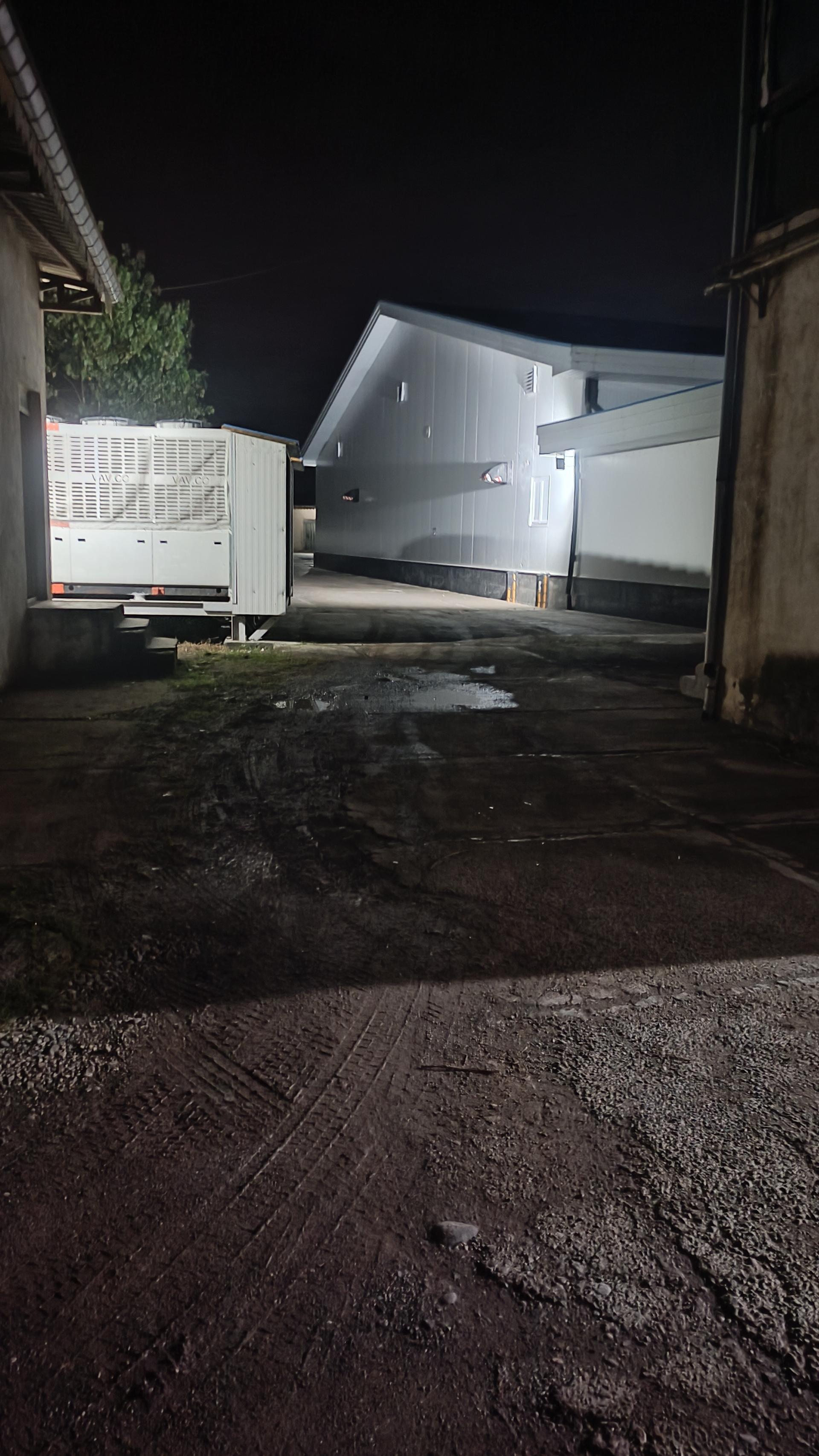 عکس جوجه کشی گیل مرغانه