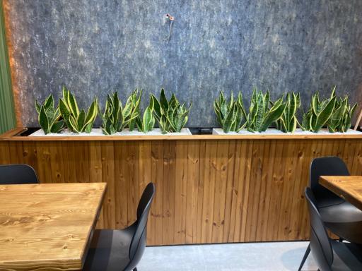 عکس بستنی کوروش