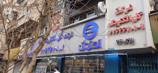 عکس گل الکتریک پارت