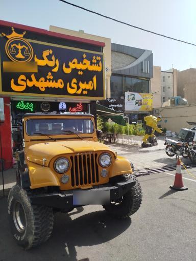 کارشناسی تشخیص رنگ امیری مشهدی