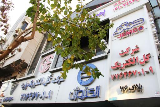 عکس گل الکتریک پارت