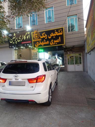 عکس کارشناسی تشخیص رنگ امیری مشهدی