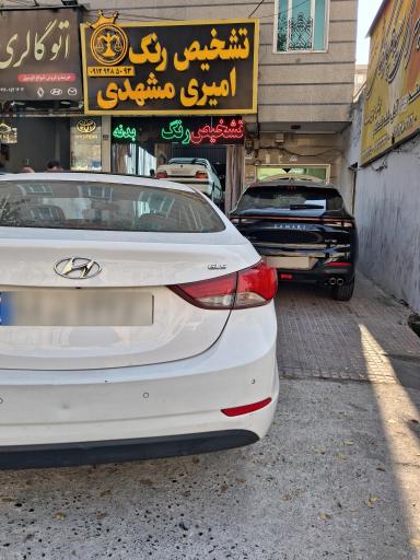 عکس کارشناسی تشخیص رنگ امیری مشهدی