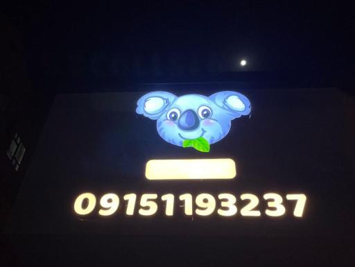 عکس پت شاپ کوآلا 