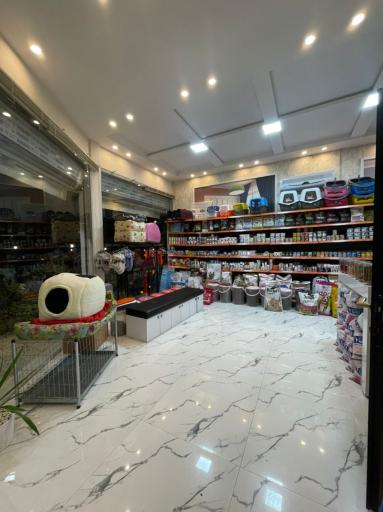 عکس پت شاپ کوآلا 