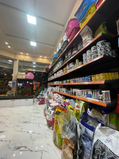 عکس پت شاپ کوآلا 