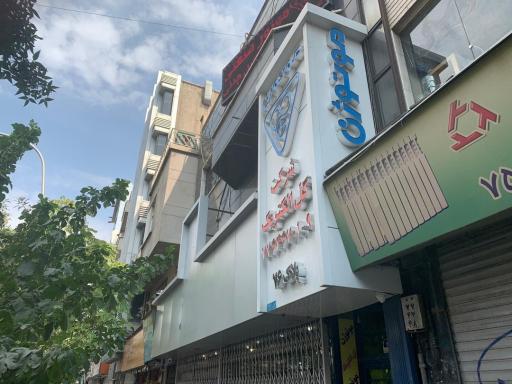 گل الکتریک پارت