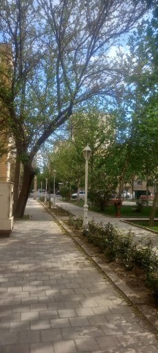 عکس پارک گلایل