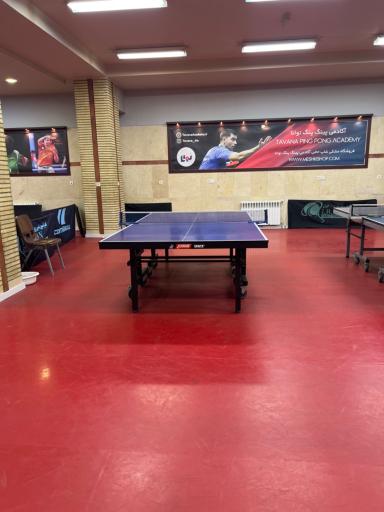 عکس آکادمی پینگ پنگ توانا 