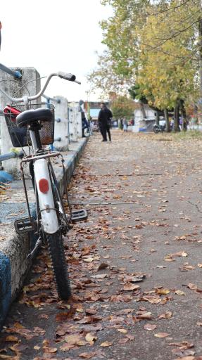 عکس بوستان بلوار انزلی