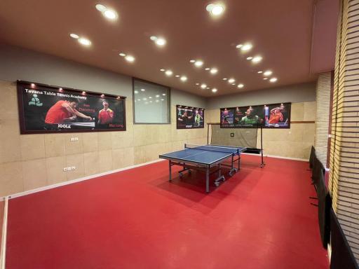 عکس آکادمی پینگ پنگ توانا 