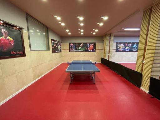 عکس آکادمی پینگ پنگ توانا 