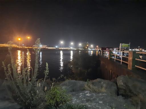 عکس بوستان بلوار انزلی