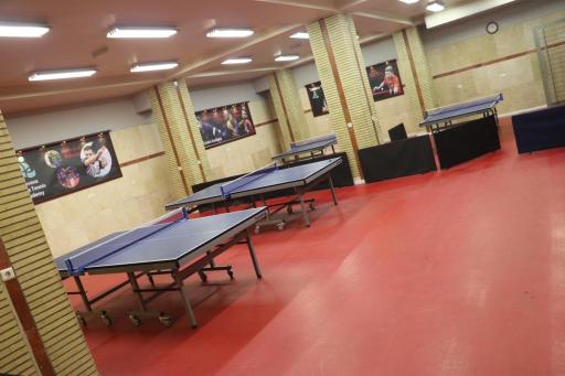 عکس آکادمی پینگ پنگ توانا 