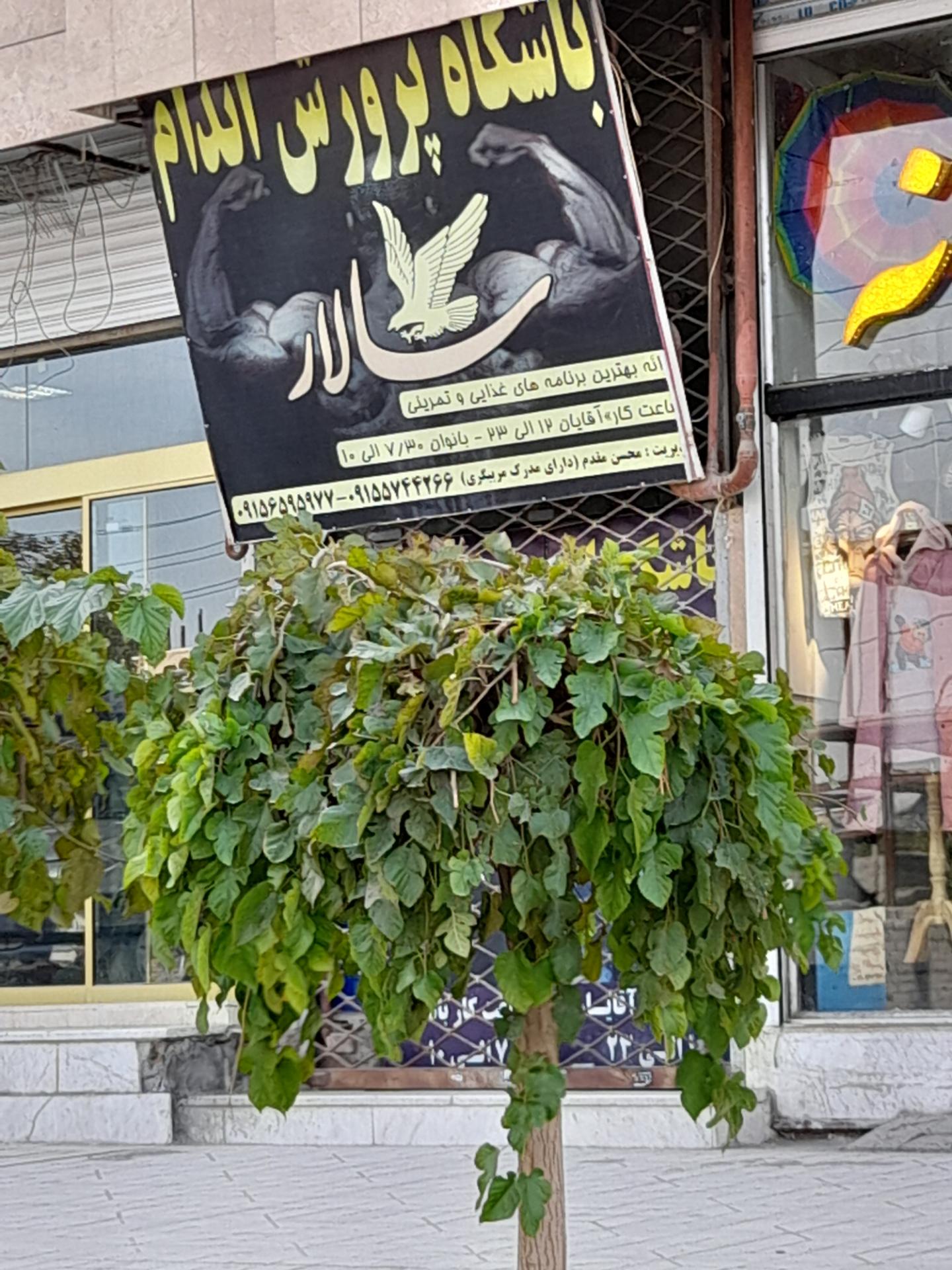 عکس باشگاه پرورش اندام سالار