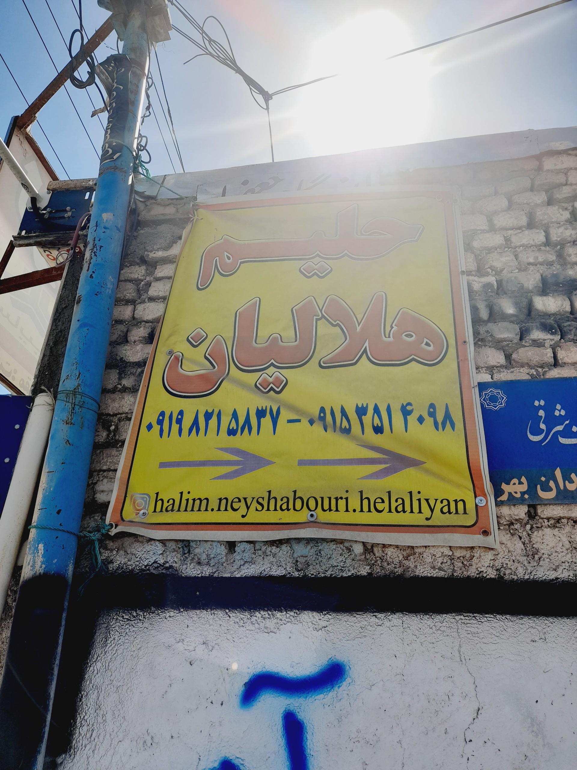 عکس حلیم نیشابوری هلالیان