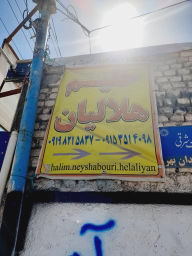 عکس حلیم نیشابوری هلالیان