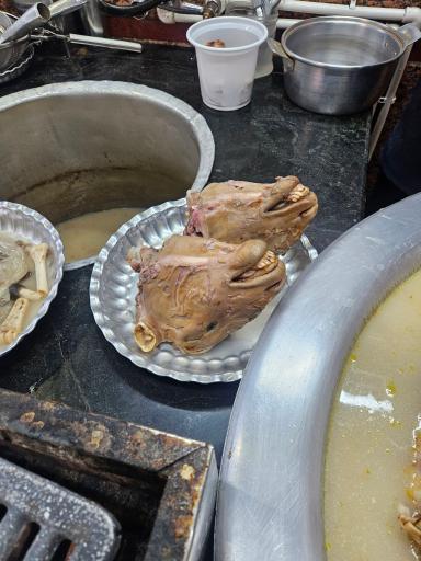 عکس طباخی کیوان