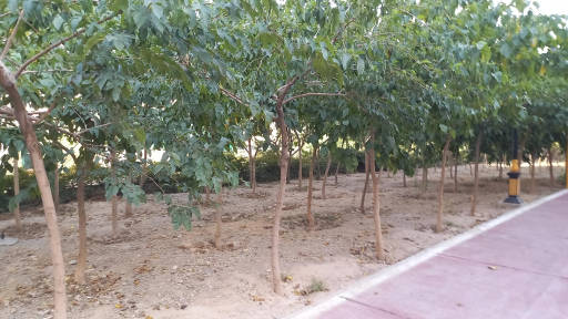 عکس جاده سلامت