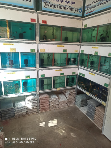 عکس آکواریوم و پت شاپ کیمیا